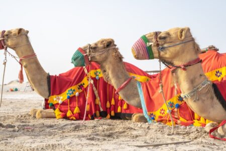 The Desert Safari in Dubai – Things to Know before You Go