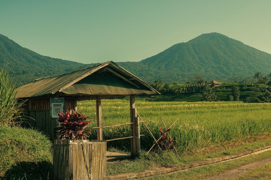 Beautiful Bali landscape with rice fields and mountains under a clear sky.