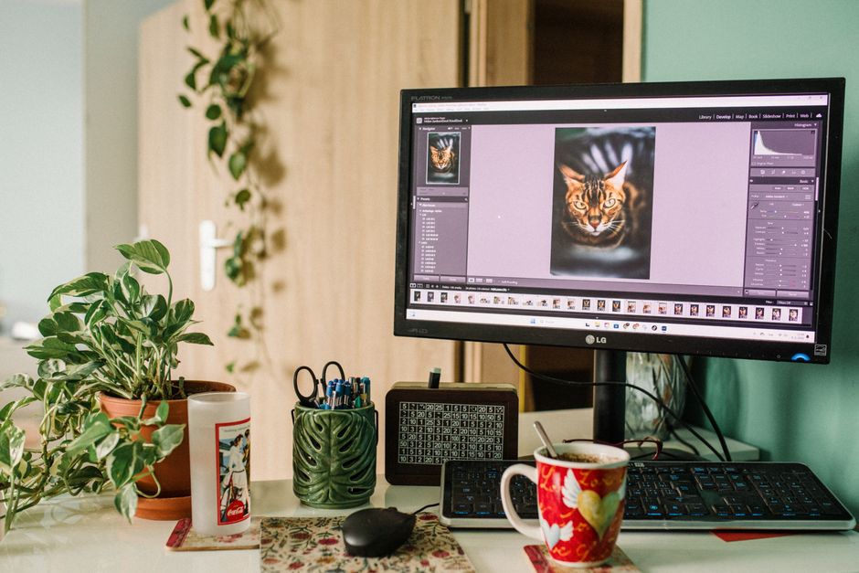 A home office setup featuring photography editing on a computer screen.
