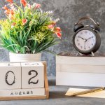 Best Time to Visit Finland for Northern Lights and Summer 2025