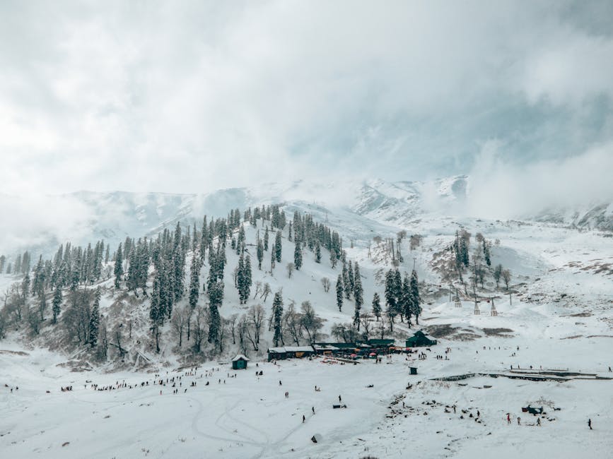 A breathtaking aerial view of snow-covered hills and pine trees in Gulmarg during winter.