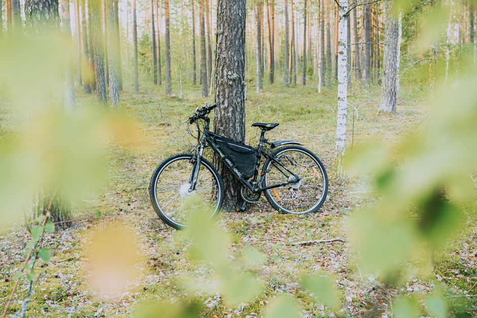 Budget Travel Bike: What 3 Years of Bikepacking on a Budget Taught Me About Travel Bikes