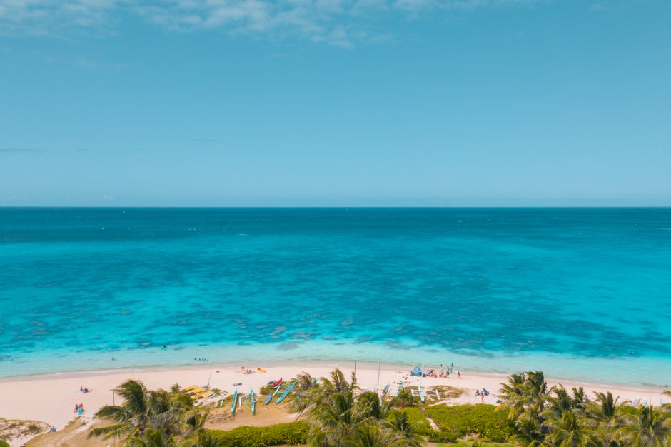 A serene aerial view of a tropical beach with palm trees and vibrant turquoise ocean.