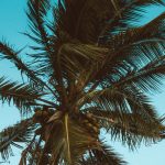 Caribbean All-Inclusive Resorts for Teens: A No-BS Breakdown