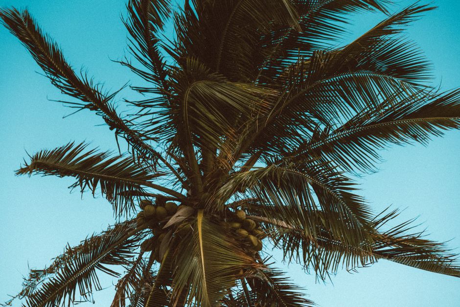 Caribbean All-Inclusive Resorts for Teens: A No-BS Breakdown