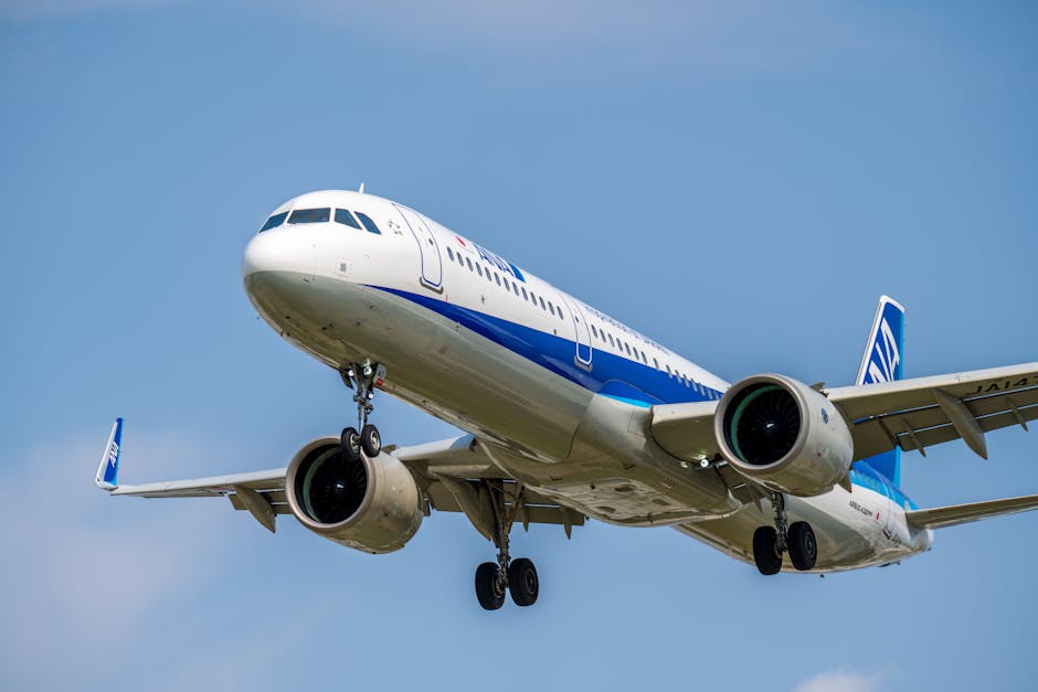 Finding Cheap Flights to Japan: Data-Driven Strategies for 2025 and 2026