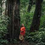 Costa Rica Eco-Lodges Under 0: What the 2026 Rates Actually Include