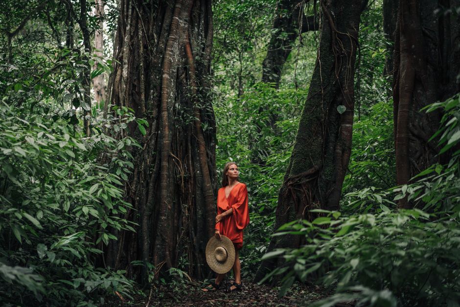 Costa Rica Eco-Lodges Under 0: What the 2026 Rates Actually Include