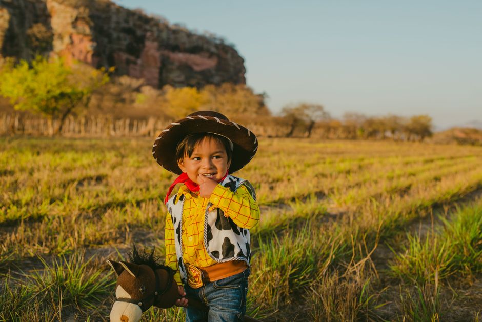 Smiling child in a cowboy outfit with toy horse in a sunny field, evoking playful adventure.