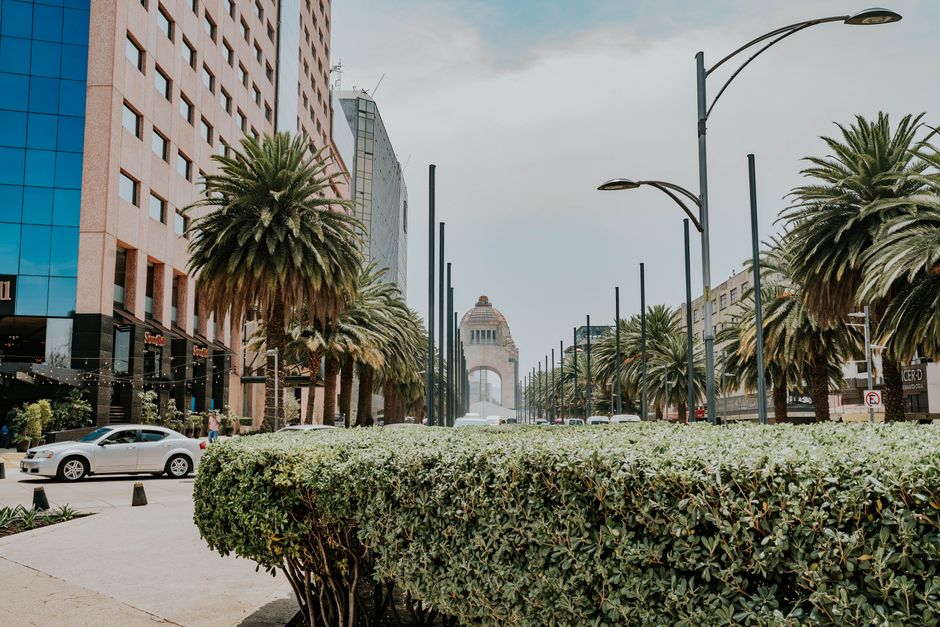 View of Monumento a la Revolución along palm-lined streets in Mexico City.