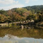 Kyoto 4-Day Culture Itinerary: Temples, Tea, and Quiet Streets