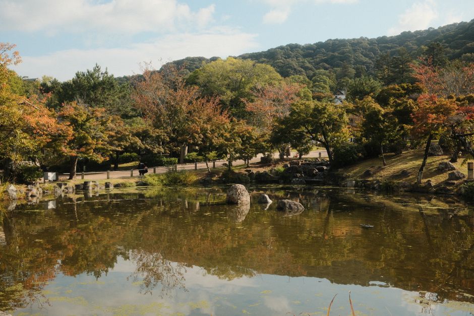 Kyoto 4-Day Culture Itinerary: Temples, Tea, and Quiet Streets