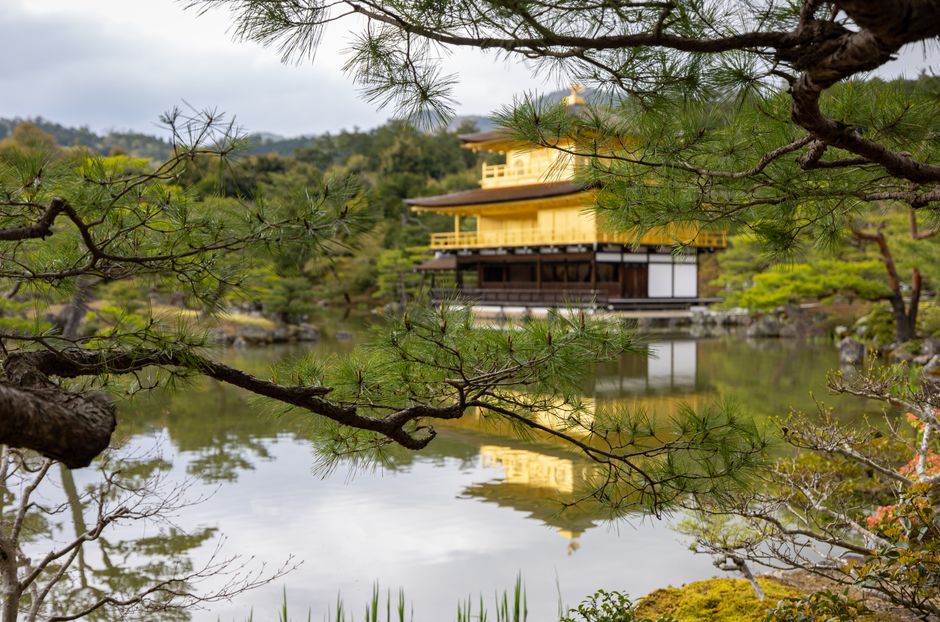 Stunning view of Kinkaku-ji Temple reflecting in the serene waters of a Japanese garden in Kyoto.