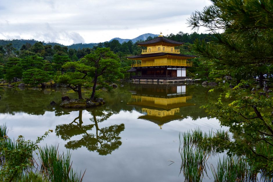 Stunning view of Kinkaku-ji Temple reflecting in a tranquil pond amidst lush greenery in Kyoto, Japan.