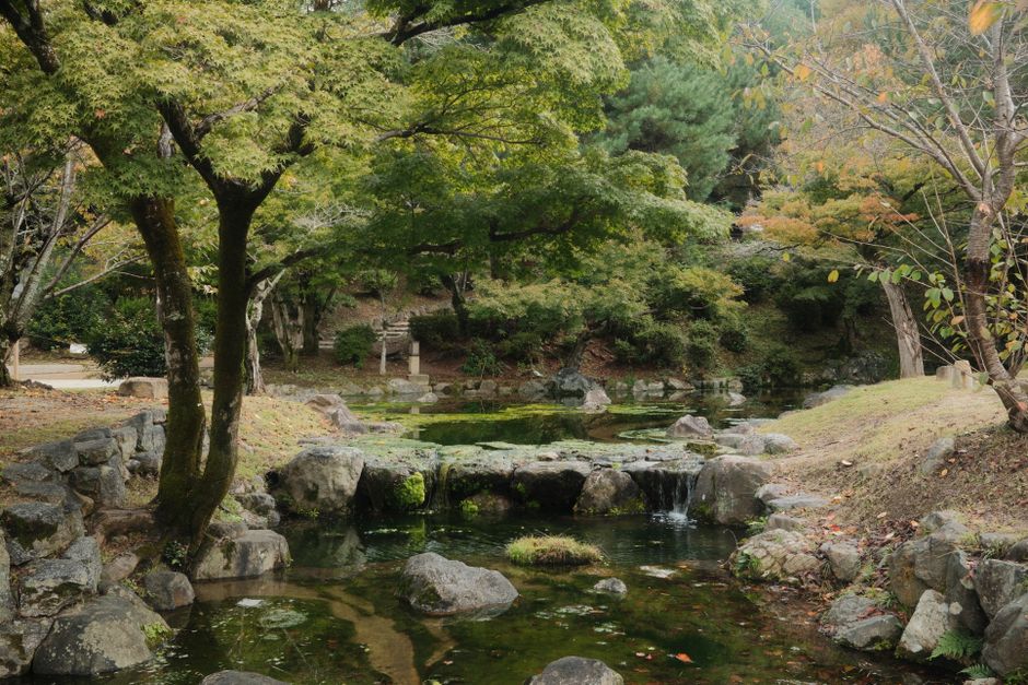 Serene scene of a traditional Japanese garden with lush greenery and a small waterfall.