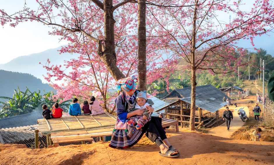 A mother and child in traditional attire under cherry blossoms in a Vietnamese village setting.