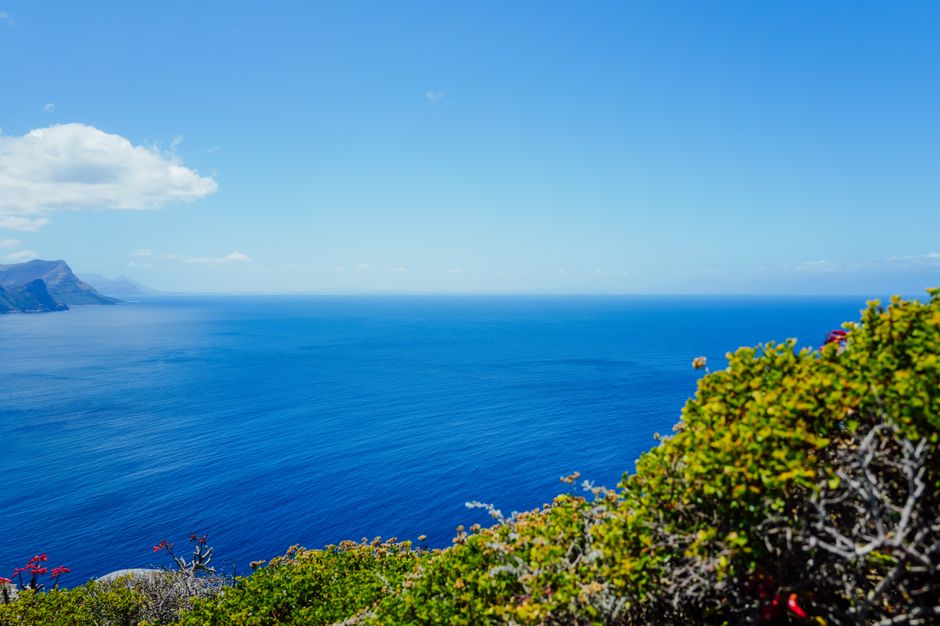 A stunning coastal scene featuring vibrant blue ocean and lush greenery under a bright sky.